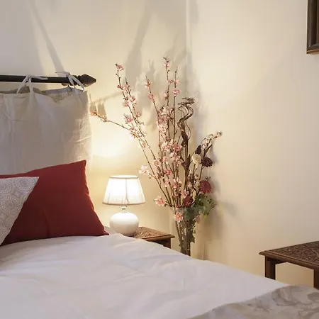 Domus Colosseum * روما