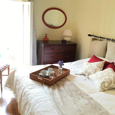 Domus Colosseum * Roma